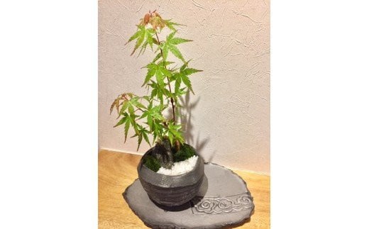 
ミニ盆栽鉢セット（菊間瓦製菊間町） [VB00610]

