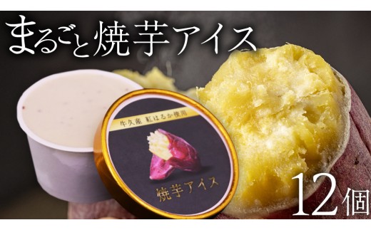 牛久市産 紅はるか 使用 焼き芋アイス 12個 入り アイスクリーム さつまいもスイーツ 焼き芋味 べにはるか 夏 アイス ギフト さつま芋 味 焼き芋 味 サツマイモ 冷凍 贈り物 [EJ009us]