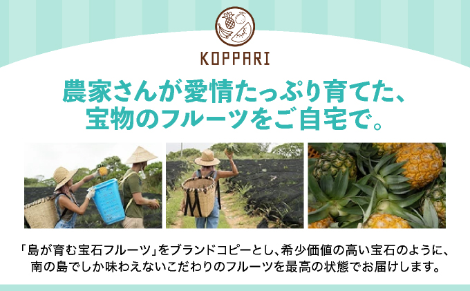 【2026年4月中旬発送】訳あり 石垣島産 スナックパイン 約4kg（4～10個）KP-01 | ふるさと納税 パイナップル 産地直送 フルーツ 果物 パイン 石垣 沖縄 沖縄県石垣市 石垣島