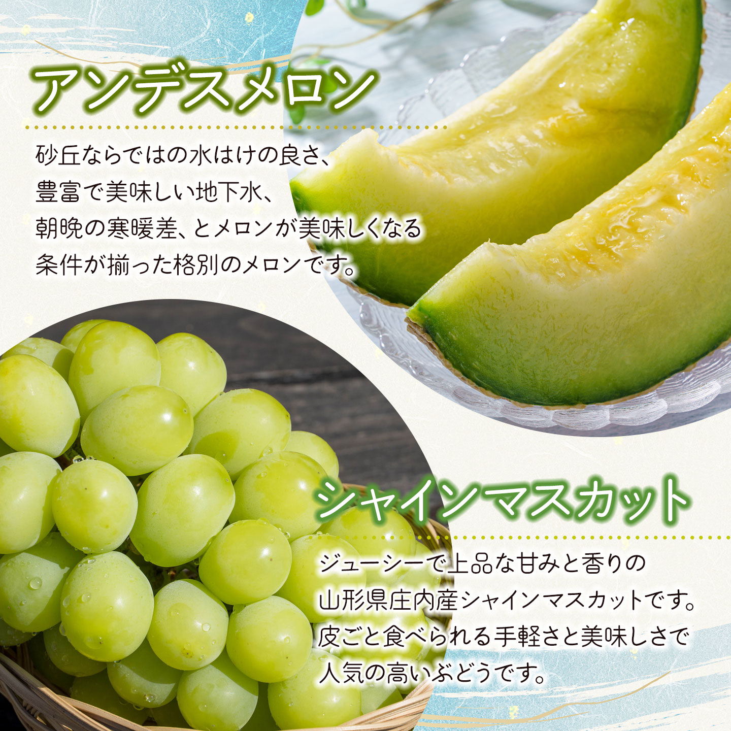 【令和8年産先行予約】 フルーツの定期便【5回お届け】　山形県鶴岡市　鶴岡中央青果　| 果物定期便 果物 くだもの フルーツ サクランボ メロン 梨 シャインマスカット 庄内柿 旬 2026年産 人気