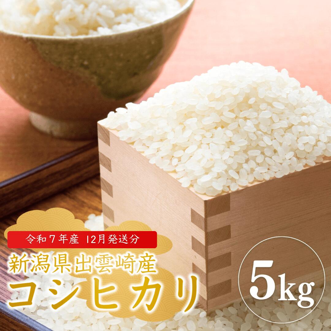 【ふるさと納税】【令和7年産新米】 【令和7年12月発送予定】「コシヒカリ」 5kg 新潟県産 出雲崎町産 農業法人直送 白米 精米 お米 こしひかり