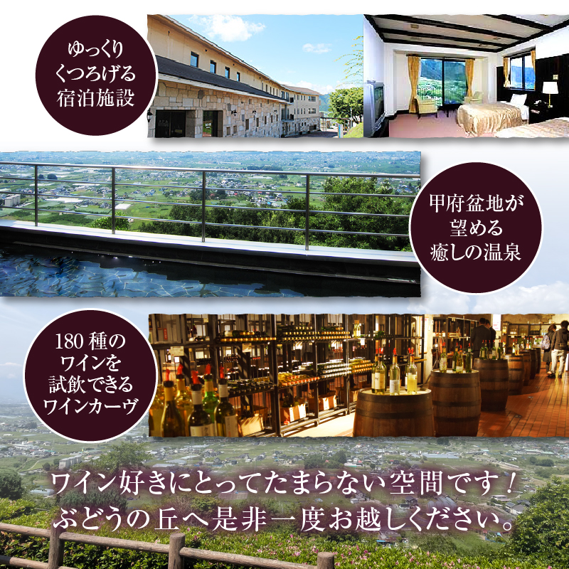一升瓶サイズのぶどうジュース2本 B2-701 （KBO）