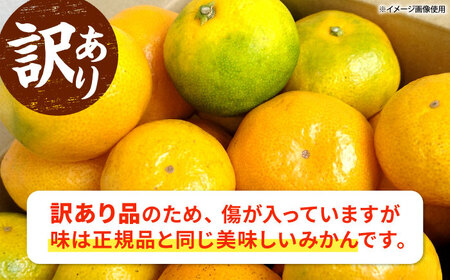 【先行予約】【訳あり】 温州みかん 5kg 極早生 早生 中生 晩生 みかん 【池田農園】[ZEX006]