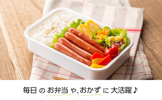 AB280.【レンチン便利品】国産パリッとジューシー高級ウインナー 約1.2キロ