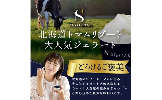 STELLA CIELO 北海道ジェラート4個 カラフル | 北海道ミルク チョコラータ 北海道赤肉メロン 北海道ハスカップ カラフル