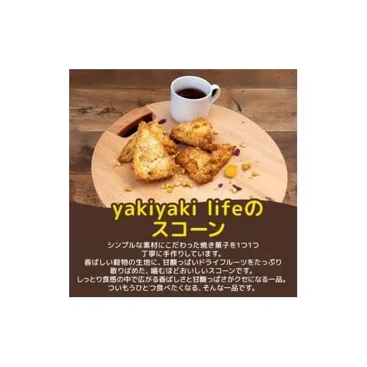 【 スコーン 】 スコーンとドライフルーツ11個