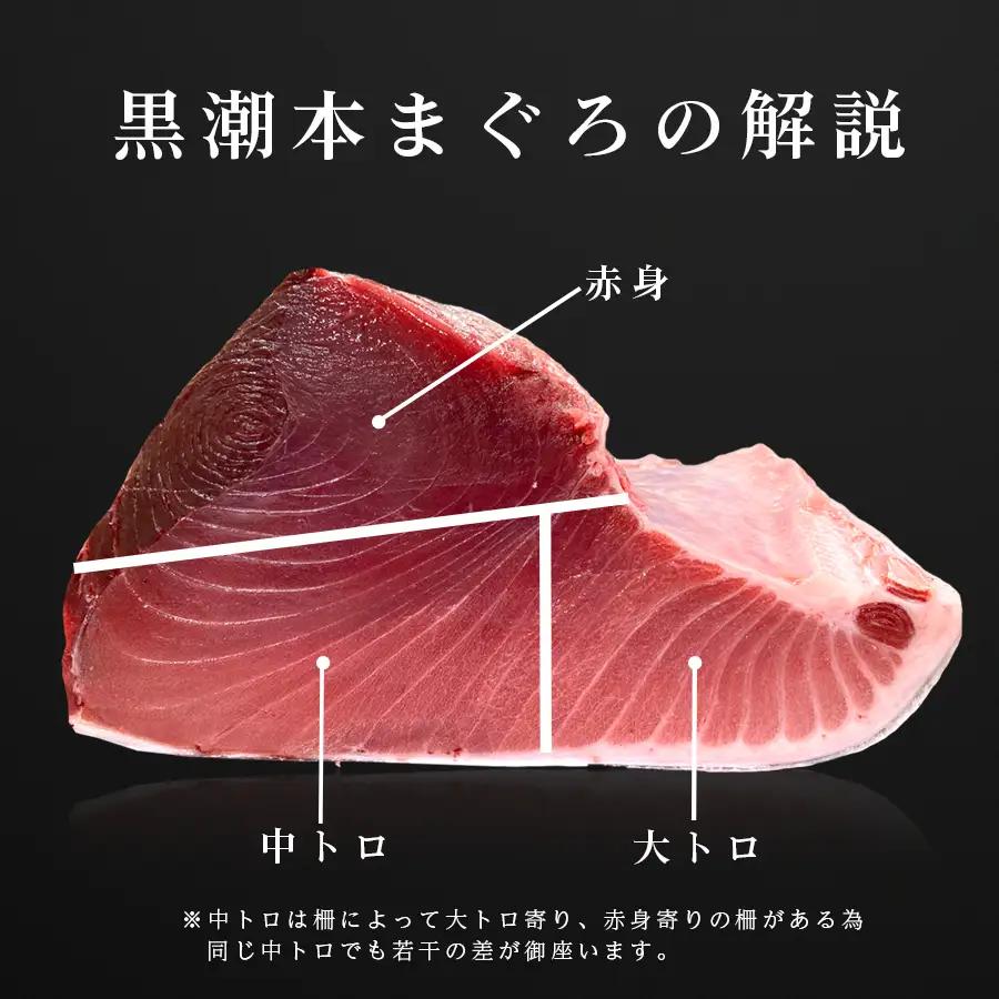 マグロ まぐろ 本マグロ 刺身 赤身 中トロ 大トロ ぶつ切り 4種 900g 養殖 本まぐろ さしみ 刺し身 ネギトロ ねぎとろ 漬け丼 海鮮丼 まぐろたたき 海鮮セット 柵 年末 年始 正月 高知