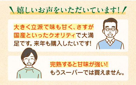 【先行予約】【2025年3月上旬より順次発送】生産量日本一！家族で毎日食べられる！キウイフルーツ 約5kg　愛媛県大洲市/沢井青果有限会社果物 [AGBN002]キウイキウイフルーツ果物キウイキウイフ