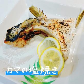 漁師直送　カマ・ハラスセット（愛媛県西予市明浜産）