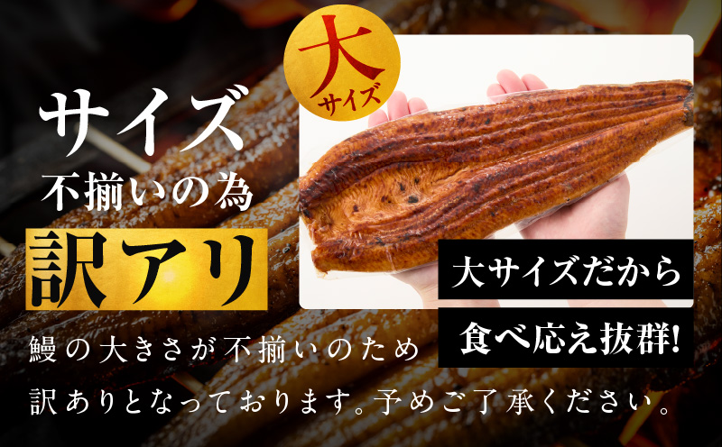 うなぎ 蒲焼き 暴れ盛り 合計 900g【鰻 真空パック 簡単調理 訳あり サイズ不揃い 人気 惣菜 うな重 うな丼 ひつまぶし にも】 020C395