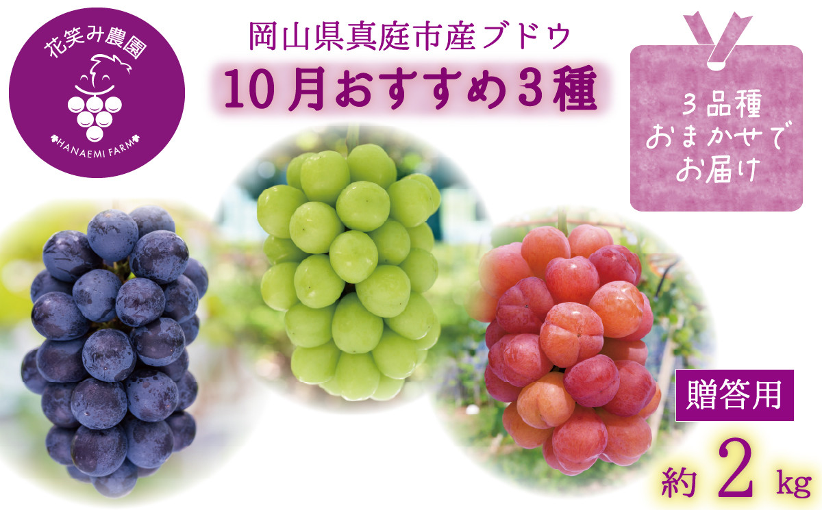 
            hana36.岡山　花笑み農園の『ぶどう３種セット』　10月おすすめセット　（約2kg3房）
          