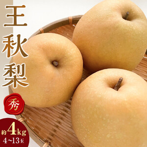 【先行予約】王秋梨 秀 約4kg（4～13玉前後）※2026年10月下旬～12月上旬頃に順次発送予定 梨