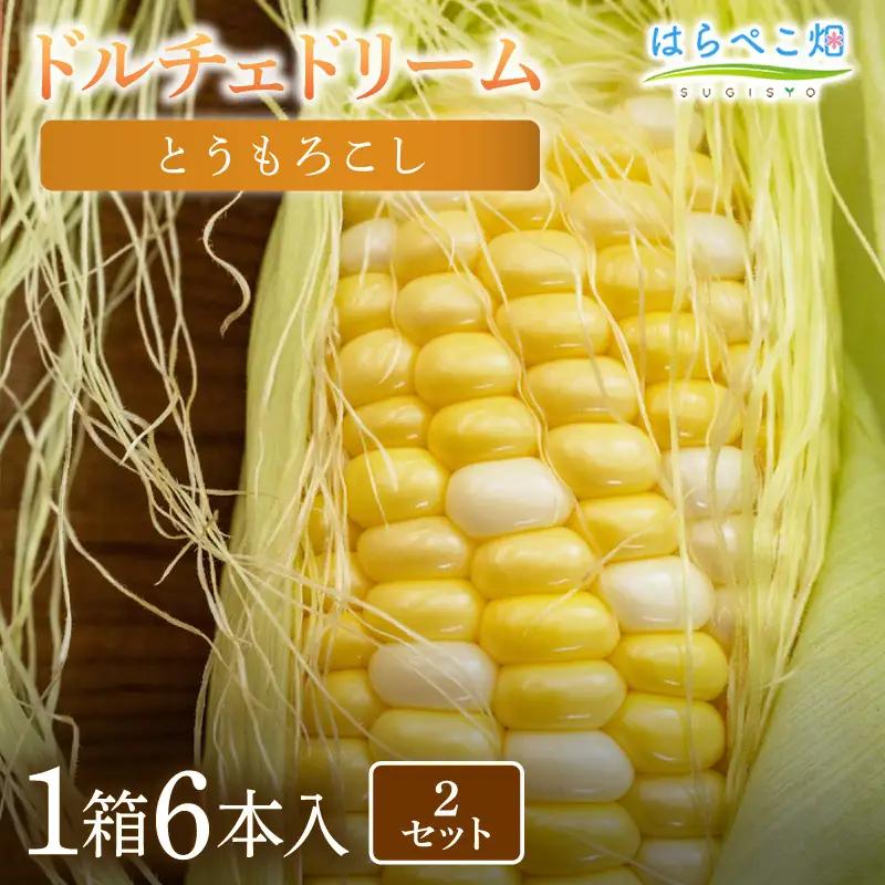 とうもろこし『ドルチェドリーム』（6本入／1箱）2セット・H124