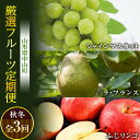 【ふるさと納税】 《先行予約》山形県中山町 厳選フルーツ定期便 秋冬 全3回【2025年9月開始】シャインマスカット ラ・フランス ふじリンゴ 葡萄 ぶどう ブドウ 洋ナシ 洋梨 洋なし ラフランス りんご 林檎 果物 くだもの フルーツ 連続 F4A-0371