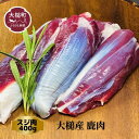 【ふるさと納税】ジビエ 鹿肉 スジ肉 400g 岩手県大槌町 国産 大槌ジビエ 大槌鹿 人気 鹿 肉 シカ しか 冷凍 煮込み 料理 フレンチ 酒 つまみ ご飯のお供 送料無料 MOMIJI 岩手県 いわて iwate 三陸 大槌