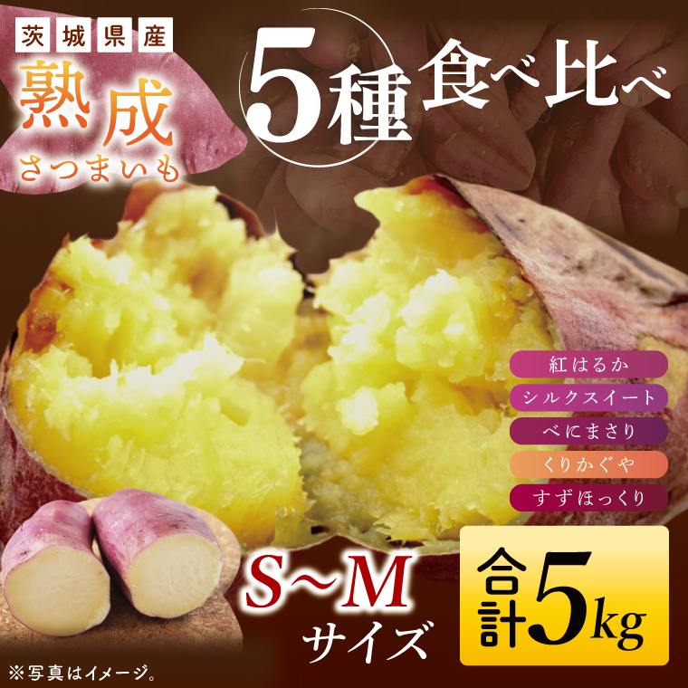【大子町産】熟成さつまいも 5種食べ比べセット 合計5kg 詰め合わせ（紅はるか・シルクスイート・くりかがや・すずほっくり・べにまさり） ｜ 茨城県 大子町 サツマイモ 焼き芋 ホクホク 野菜 数量限定 （CH007）