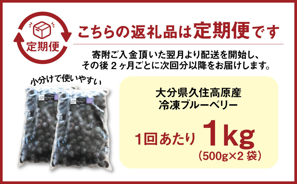 【2ヶ月毎6回 定期便】久住高原 手摘みブルーベリー 冷凍 500g 2袋 小分け 栽培期間中農薬不使用
