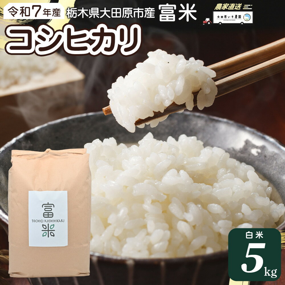 【ふるさと納税】≪2025年10月中旬以降発送≫ 令和7年産 栃木県大田原市産コシヒカリ「富米」 白米 5キロ ｜米 お米 新米 コメ こしひかり 5kg | お米 こめ 白米 食品 人気 おすすめ 送料無料