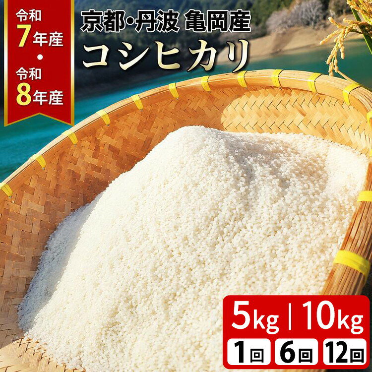 【ふるさと納税】新米 予約受付中！ 米 5kg 10kg コシヒカリ 令和7年産 京都丹波産 高評価★4.68 定期便 1回 6回 12回 京都 佐伯の里 源流米 希少 産地直送 ふるさと納税 訳あり 簡易包装 米 定期便 12ヶ月 令和8年産 先行予約 人気 白米 ふるさと納税 定期便