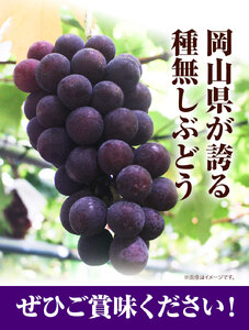 H-33  岡山県産ニューピオーネ（1房680g以上）1房入り　令和6年産先行受付【配送不可地域あり】