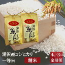 【ふるさと納税】令和6年産 【精米4kg（2kg×2袋）3ヶ月定期便】湯沢産コシヒカリ＜精米＞（白米） 精米したてのお米をお届け 南魚沼産 こしひかり 3回定期便