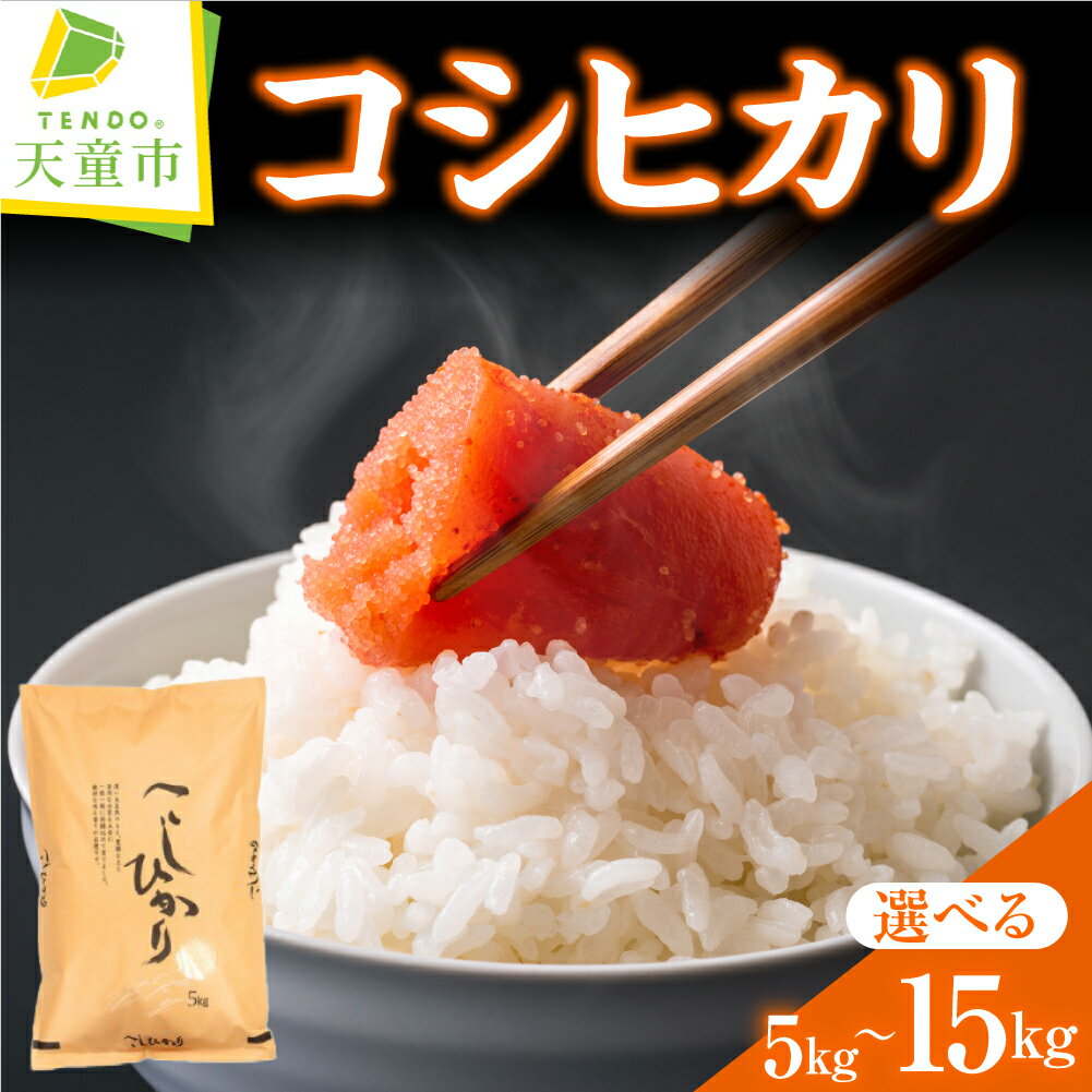 【ふるさと納税】【12月24日入金分まで 年内配送 】 コシヒカリ 選べる 5kg / 10kg / 15kg 令和7年産 米 新米 2025年 コメ こめ おこめ 精米 特別栽培米 ブランド米 ごはん 白米 ご飯 5kg 袋 小分け 便利 お取り寄せ 食品 産地直送 送料無料 年内発送 【 山形県 天童市 】