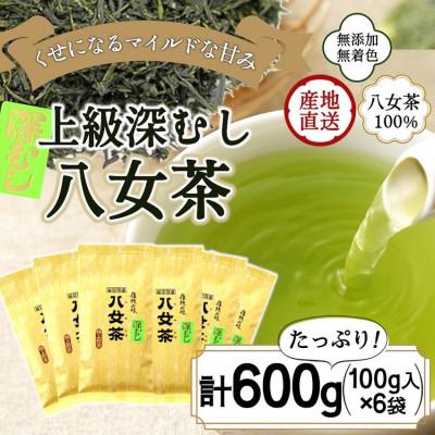 ふるさと納税 太宰府市 八女茶100% まろやか濃い味「マイルド深むし特上煎茶」100g×6袋(太宰府市)