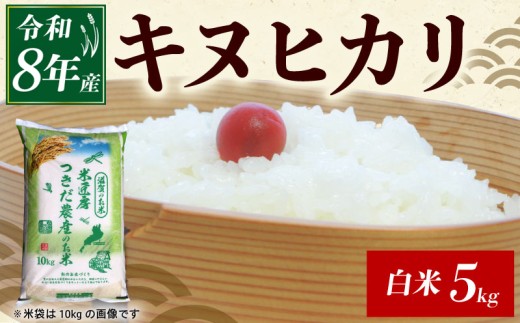 令和8年産 新米 キヌヒカリ 白米 5kg ひこにゃん米 米 コメ お米 5キロ 米5kg ご飯 ごはん きぬひかり おにぎり お弁当 滋賀 彦根