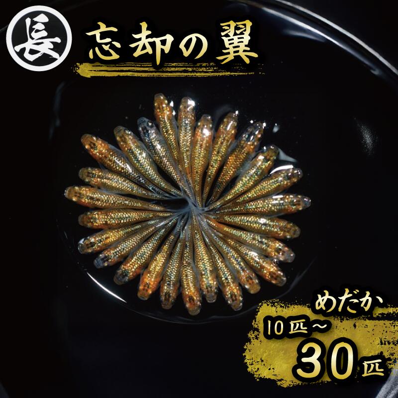 【ふるさと納税】 めだか 10匹 ~ 30匹 忘却の翼 選べる 容量 オス メス ランダム メダカ ペット 生き物 熱帯魚 アクアリウム 観賞魚 生体 鑑賞 インテリア 淡水魚 稚魚 繁殖 贈り物 趣味 プレゼント ギフト 返礼品 牧之原市 静岡県