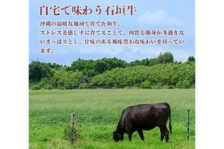 牛肉 石垣牛・ステーキ肉 ヒレ 360g ( 約180g × 2枚 )