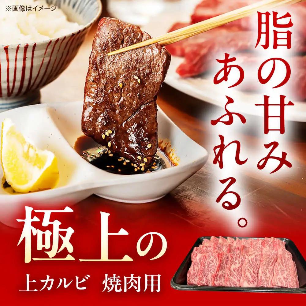 【6回定期便】佐賀牛 上カルビ 焼肉用 500g /MKミート武雄[UEM051] カルビ