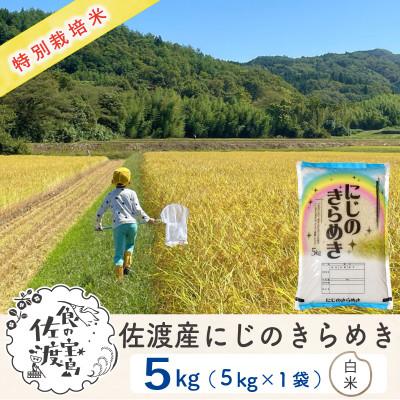 ふるさと納税 佐渡市 【毎月定期便】佐渡島産にじのきらめき 白米5Kg 特別栽培米 農家直送全6回