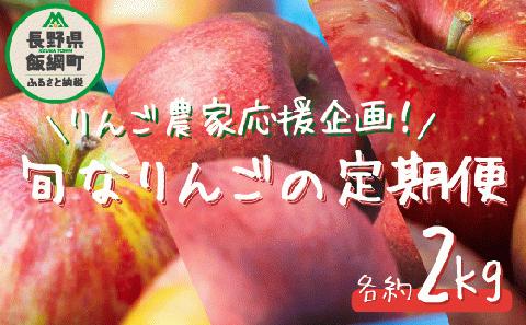 りんご 旬のりんご ＜ 定期便 ＞ 家庭用 ～ 訳あり 2kg × 3回 農家応援企画 【令和6年度収穫分】 沖縄県配送不可 2024年10月上旬～12月下旬まで順次発送 長野県 飯綱町 [1743]