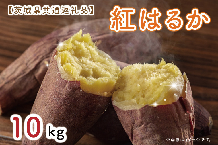 
            【先行予約】【茨城県共通返礼品】さつまいも　紅はるか 10kg（水戸市・ひたちなか市・鹿嶋市・行方市・大洗町産）（KCM-18）
          