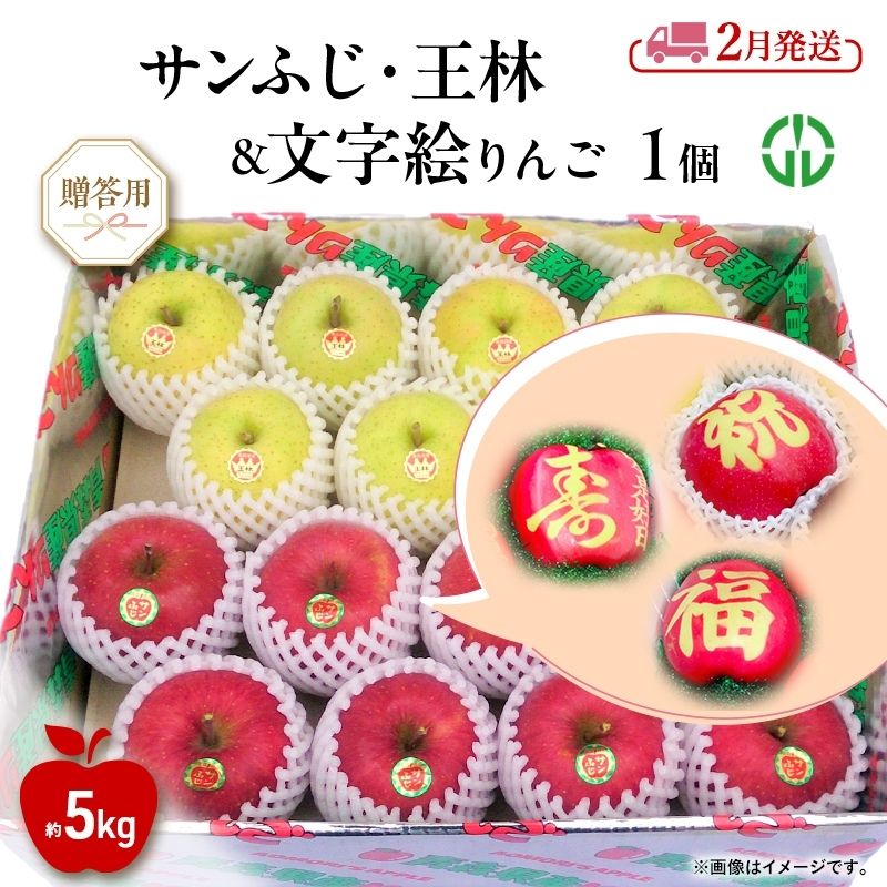 【ふるさと納税】りんご 【 2月発送 】 贈答用 サンふじ ・ 王林 ＋ 文字絵入りりんご1個 約 5kg　お届け：2027年2月1日～2027年3月9日