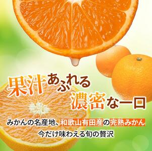 家庭用 有田 みかん サイズ混合(2S～2L) 5kg+250g ※11月発送(完熟) / 温州みかん 有田みかん 訳あり 甘い 光センサー選果 果物 柑橘 和歌山 ※北海道・沖縄・離島への配送不可 