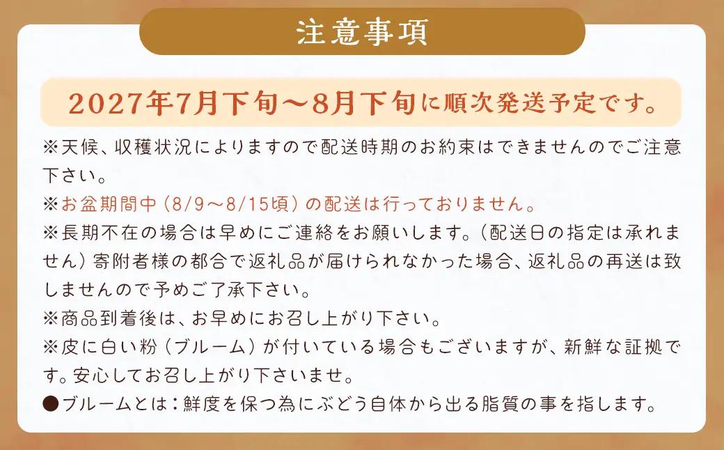 数量限定 有核 巨峰 約300g×4パック 計約1.2kg ぶどう ブドウ 果物 フルーツ 福岡県産 【2027年7月下旬～8月下旬発送予定】