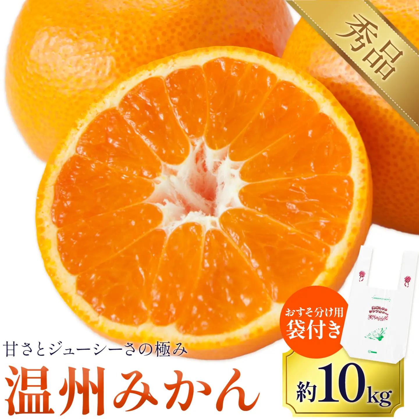 温州みかん 約10㎏ 日本フルーツ株式会社 ミカン