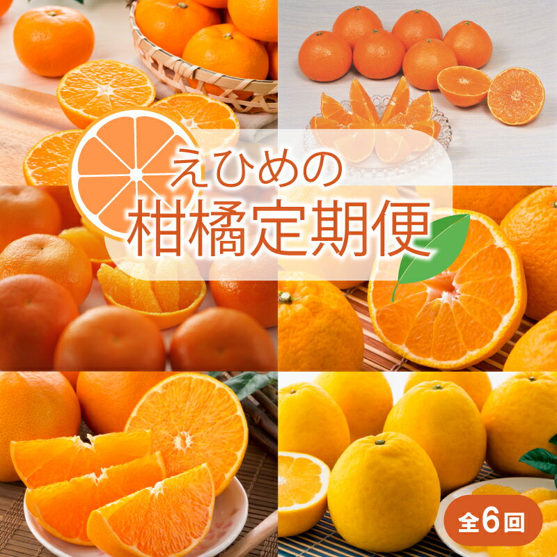 【ふるさと納税】 【定期便全6回】えひめかんきつ定期便 みかん 定期便 紅まどんな 伊予柑 いよかん デコポン 定期便 せとか 定期便 河内晩柑 国産 フルーツ 果物 定期便 オススメ 人気 愛媛 松前町