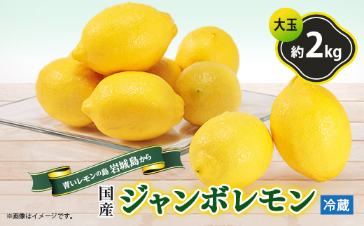 【7月出荷】青いレモンの島　貯蔵蔵出しジャンボレモン2kg(冷蔵)【配送不可地域：離島】