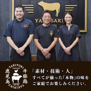 a639 鶏の炭火焼き！こんがりコロコロ焼き3種食べ比べセット計900g(100g×9パック)！柔らかく美味しい鳥肉をタレ・しお・塩麹味の3種で味付けしたこんがりコロコロ焼きのセットです【やまさき】