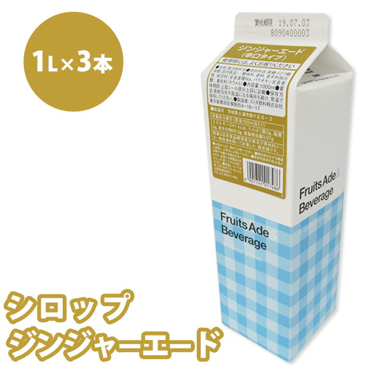 【ふるさと納税】シロップ ジンジャーエード（辛口タイプ） スミダ飲料 1000ml （1L） ×3本　※離島への配送不可