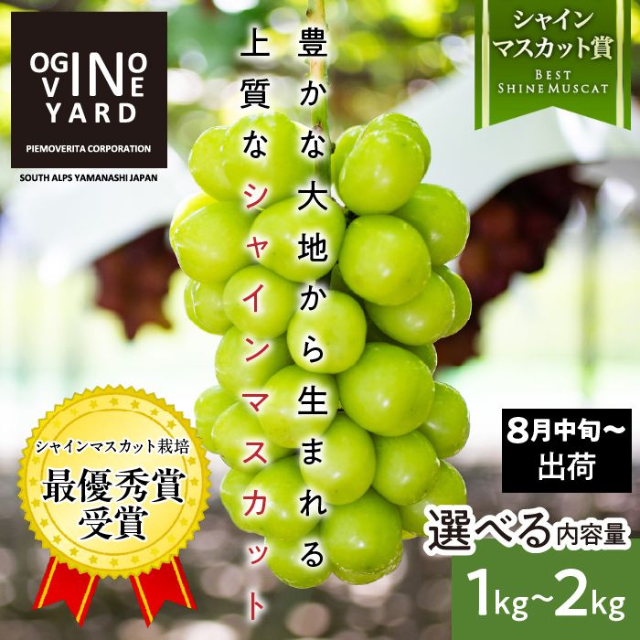 【ふるさと納税】 2026年秋収穫先行予約 山梨県産シャインマスカット 選べる容量 ふるさと納税 シャインマスカット ぶどう 葡萄 果物 フルーツ 2房 3房 4房 おすすめ 山梨県 南アルプス市 送料無料 ALPAK006