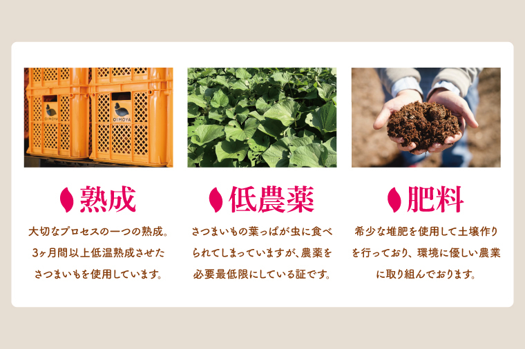 熟成 紅はるか生芋 Mサイズ 混合 10kg いも サツマイモ さつまいも 食物繊維 腸活 ねっとり 甘い 焼き芋 お取り寄せ グルメ 水戸市 茨城県（IN-21) M
10kg