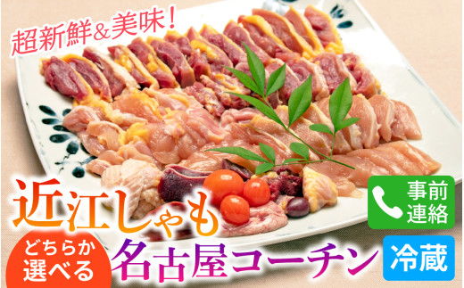 【かしわの川中】超新鮮＆美味！大津市で飼育した近江しゃもor名古屋コーチン！約600g（2〜3人前）[g005]/鶏肉 しゃも シャモ 名古屋コーチン 鍋 すき焼き 鶏モツ 鶏がら 新鮮 送料無料 軍鶏