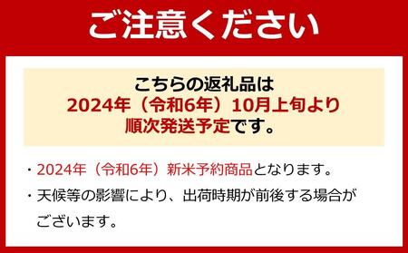 【頒布会】【令和6年産 新米予約】南魚沼産コシヒカリ（白米5kg×全12回）【令和6年10月上旬より順次発送予定】