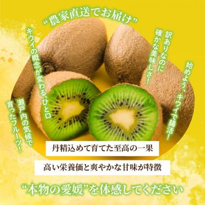 ふるさと納税 松山市 【先行予約】2026年10月下旬より発送 キウイフルーツ ヘイワード約5kg 家庭用 訳あり |  | 01