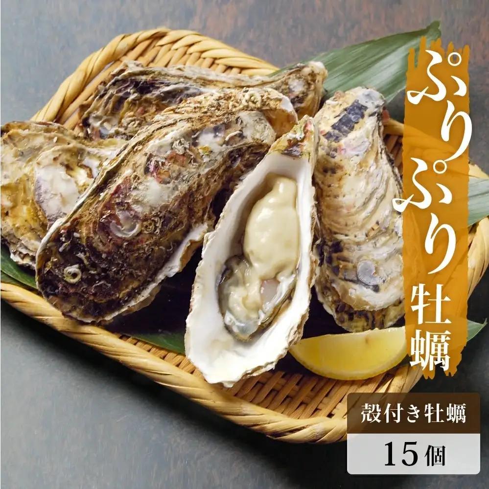 殻付き牡蠣 15個 生食用 牡蠣 カキ 殻付き 冷蔵 宮城 かき 海鮮 魚介 貝類 海の幸 海産物 魚介類 家庭用 宮城県 石巻市