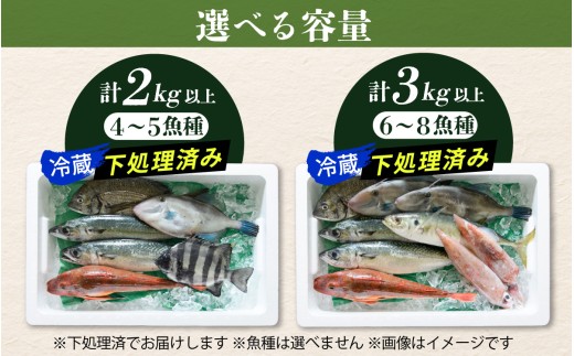 若狭湾鮮魚セット おまかせ 3kg以上（6～8魚種）【2月配送】