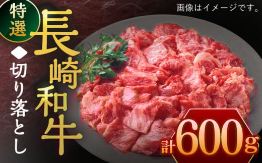 長崎和牛 特選切り落とし 600g【川下精肉店】[OAA016] / 切り落としすき焼き 焼肉 切り落とし 長崎和牛 切り落とし 冷凍 きりおとし 黒毛和牛 切り落とし 小間切れ肉 黒毛和牛 切り落とし